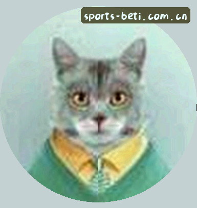 孙总